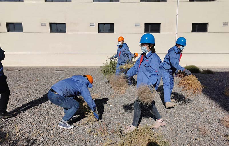 送料機(jī)廠除草 送料機(jī)廠除草